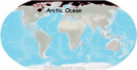 Arctic Ocean Bonus Information Littered with icebergs (Greenland itself lies under an enormous ice cap) Wildlife exists only around the edges The International Date Line crosses