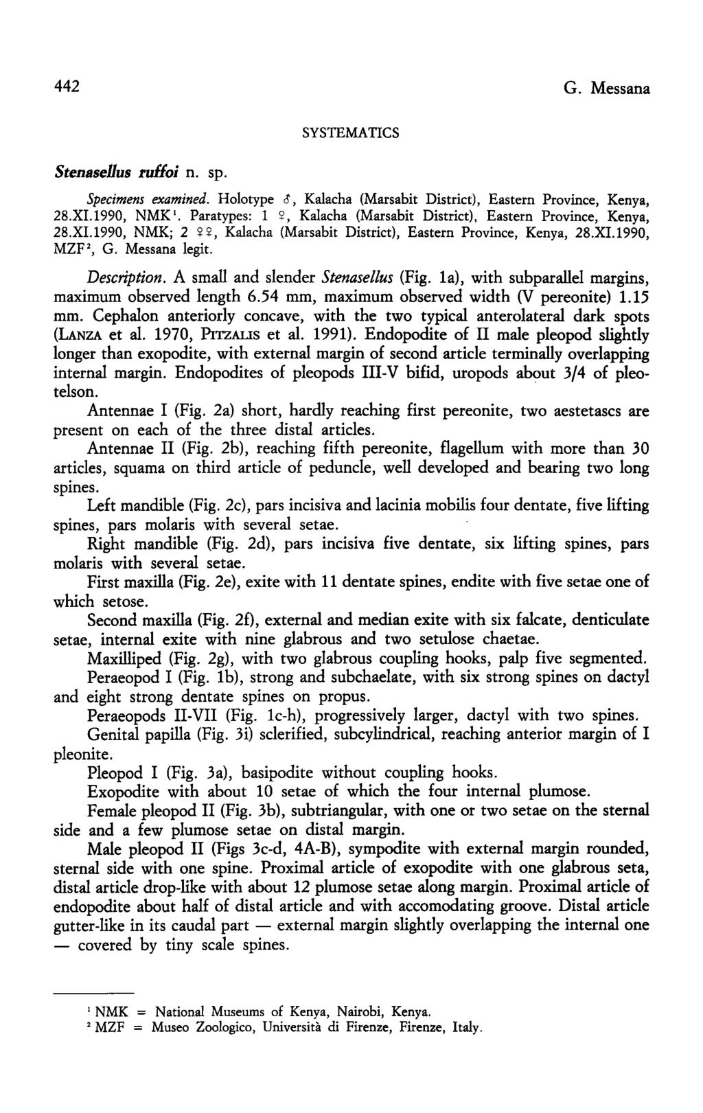 442 G. Messana Stenasellus ruffoi n. sp. SYSTEMATICS Specimens examined. Holotype c, Kalacha (Matsabit District), Eastern Province, Kenya, 28.XI.1990, NMK '.
