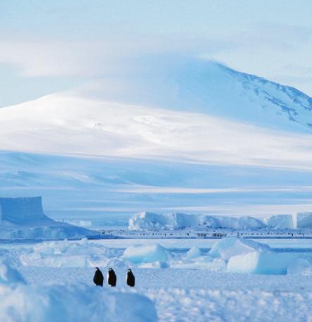 For emperor penguins, seals, fish, and whales, the climate in Antarctica is just right. Scientists will continue to study Antarctica s climate and watch for signs of change.