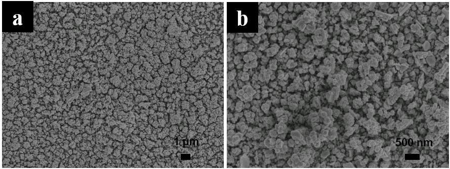 Figure S3. SEM images of the copper catalyst material electrodeposited in a 0.