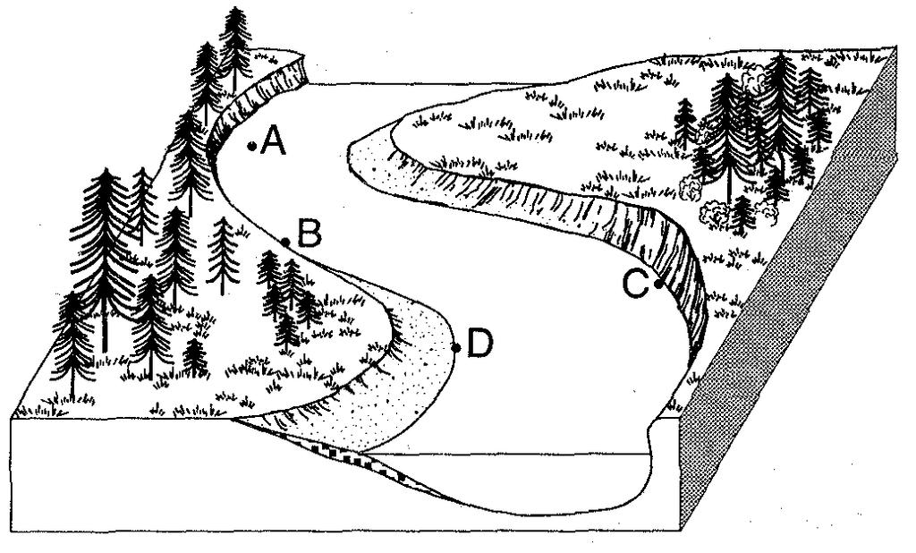 47. Trees growing on the edge of a river's meander are most likely to fall into the river due to A) deposition on the inside of the meander B) deposition on the outside of the meander C) erosion on