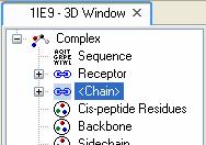 Figure 3: Hierarchy view with the merged objects Finally we will rename the ligand. Now select in the Hierarchy View the entry <Chain>.