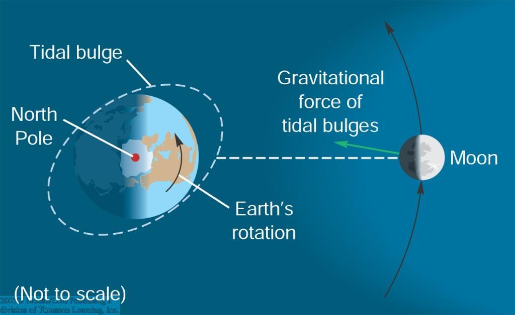 Acceleration of the Moon s Orbital Motion The Earth s tidal bulges are slightly tilted in the direction of Earth s rotation Gravitational force pulls the Moon
