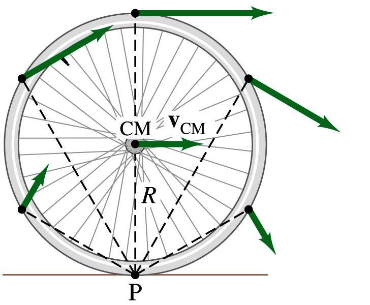 Rolling Motion w/o Slipping v = R w w w : common for all points v cm v cm = R w P is: (a) the point of contact with the