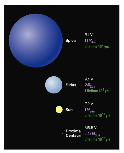 Lifetimes of Main Sequence Stars Recall t 10 billion years lifetime M M 1 for high-mass stars lifetime M 4 3 M M 1 for high-mass stars 4 3 M so t(10 M ) (10 billion) (1/10) 3 (10 billion)/1000
