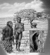 Female (with child?) Australopithecus garhi?? robust Australopithecines e.g. Paranthropus (Australopithecus) boisei?