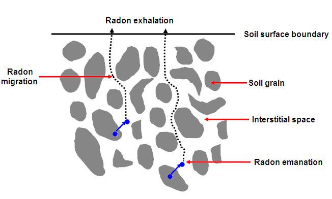 Radon flux measurements Radon is released to the