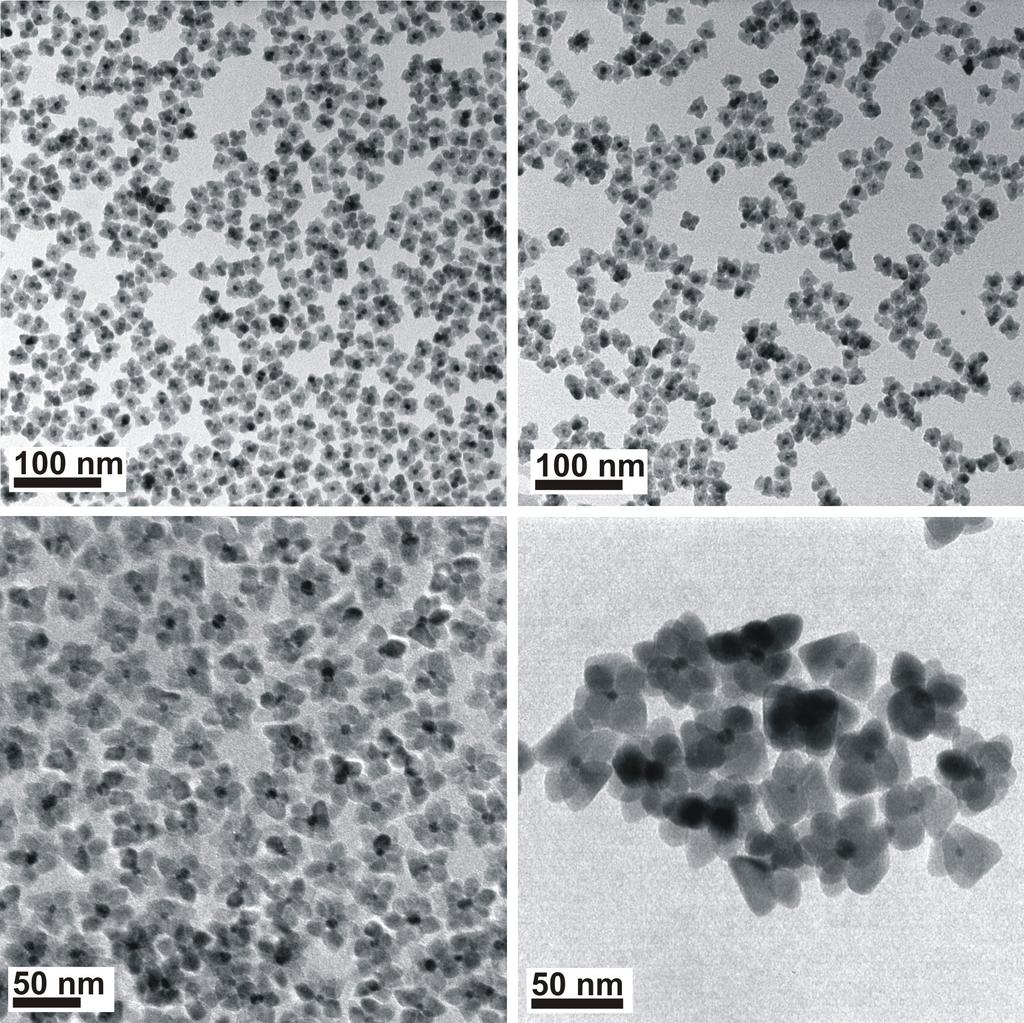 Figure S1: TEM images of several batches of Au@ZnO structures prepared with same