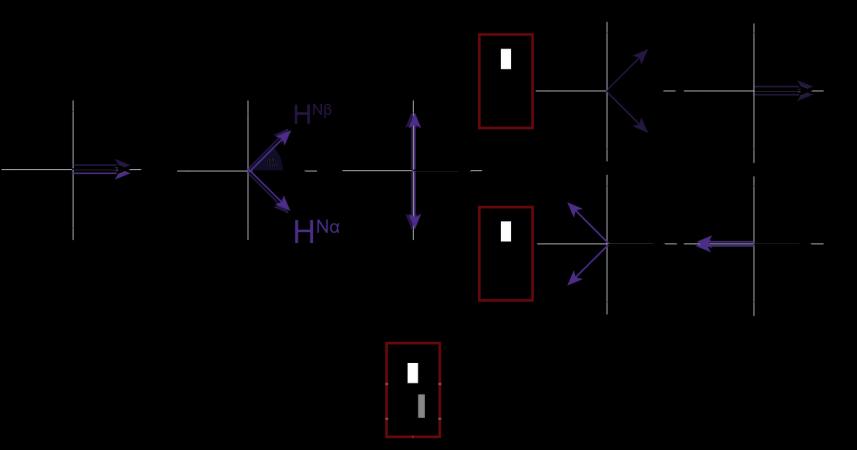 coupling After a time period ( st scan), H- 3 C or H- 5 N and H- 2 C or H- 4