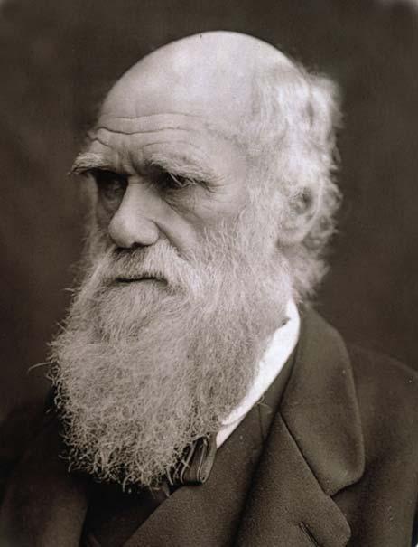 10.2 15 Darwin s Theory Observations of Evolution