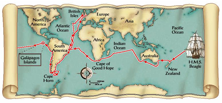 (1809-1882) - traveled on HMS Beagle to Galapagos