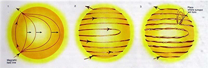 The most violent events on the Sun are flares. A single flare can release as much energy as 10 million hydrogen bombs.