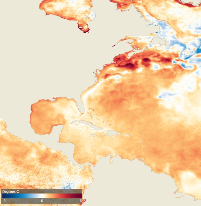 WARMING TREND IN OCTOBER OCEANS CYCLICAL AMO OR NON-CYCLICAL WARMING? October 2016 SST Anomalies courtesy of NASA Earth Observatory 23.5 23 22.5 22 21.5 21 20.