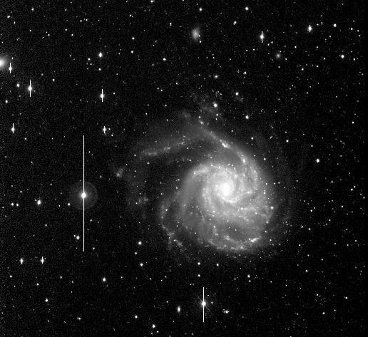 M101 Chris