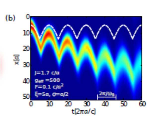 mean-field, Variational approach RF spectra Polarons in BEC in optical