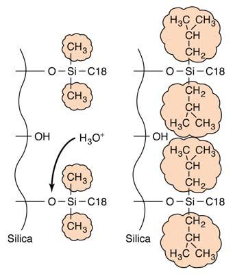 Fig 25-8 protection from hydrolysis 12/1/2005 Chem 253 - Chapter 25 29 Reversed & Normal Phase Separations. Normal Phase Polar s.p. & Nonpolar m.p. Early HPLC work was conducted on unmodified silica (highly polar) this required the use of nonpolar mobile phases in order to get adequate separations.