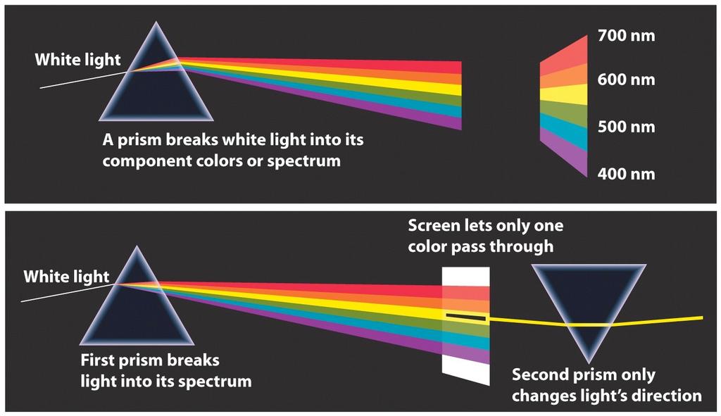 Colors of the Rainbow! Newton used a prism to separate white light into its component colors! Called a spectrum!