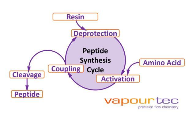 Continuous Flow-based Solid-phase Peptide Synthesiser Introduction As mainstream drug discovery is starting to shift from small molecules to peptide-based therapeutics, there is a growing demand for