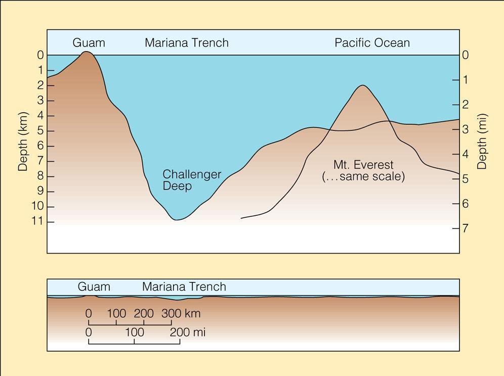 Trench Cross Section Red line on seafloor