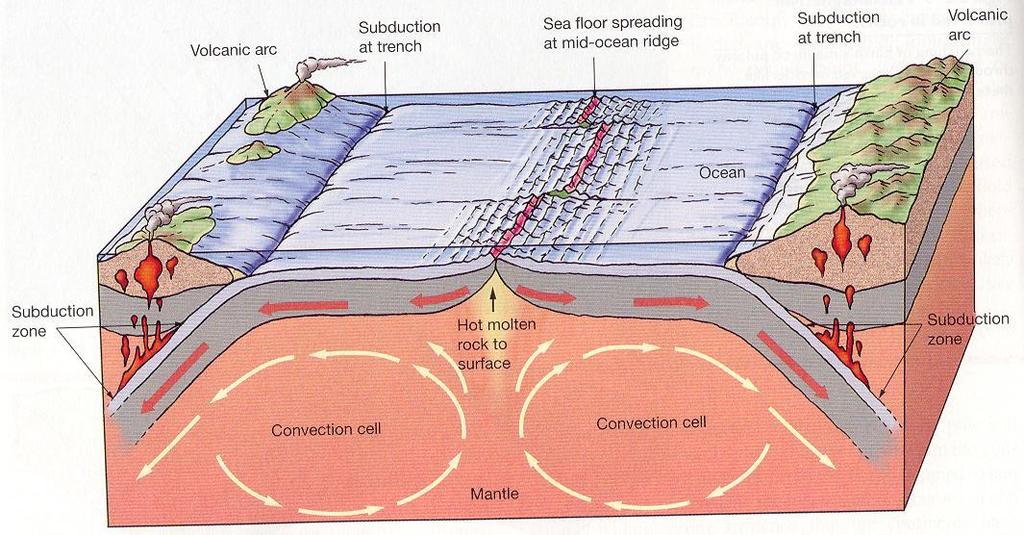 Origin of Continents and Oceans Crust is formed by