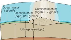 Two Types of Crust on Earth Oceanic Crust About 6 km thick Density is 2.