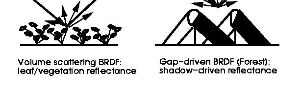 Basc models of BRDFs: 1. Lambertan surface: BRDF s ndependent of drecton of observaton and drecton of ncdence: L = E 2.