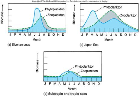 Figure 14.10 Picoplankton: less than 0.0012mm, typically bacteria and extremly small phytoplankton Nannoplankton: 0.002 0.