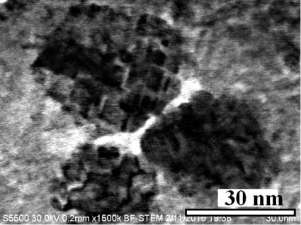 The samples annealing at 800 C resulted in transformation of the composite material into nanodispersed rutile.