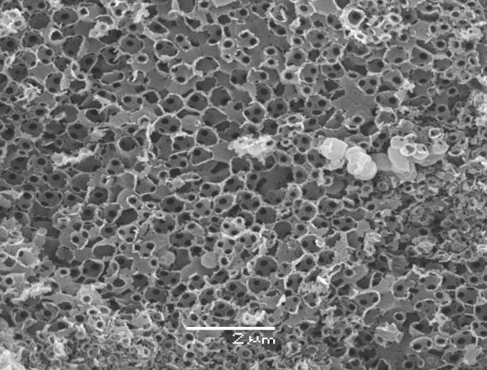 SYNTHESIS OF 3D ORDERED MACROPOROUS MATERIALS FOR CATALYSIS AND ADSORPTION Semeykina V.