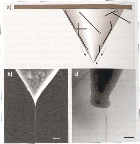 Direct grow of nanotubes Alumina/iron/molybdenumpowdered catalyst 2 nm