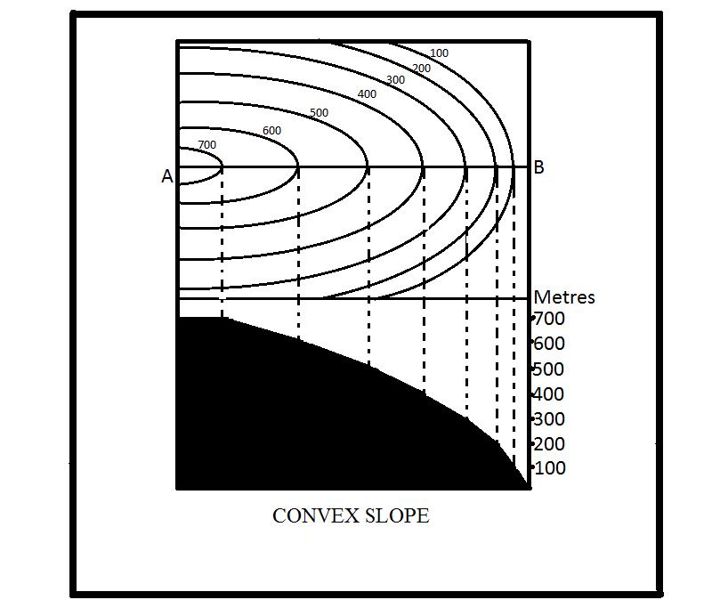 BA/BSC GE-103 5.3.6 Convex Slope An outward bulge marks a convex slope. At the foot, the slope rises more steeply while less steeply or more gently at the top.