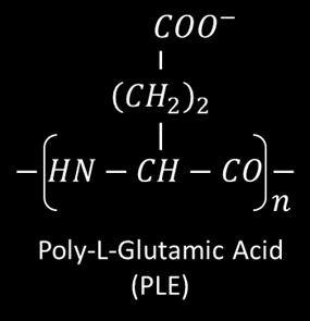 The glutamic acid residue is a weak polyacid in solution. The tyrosine amino acid remains neutral but is a polar molecule with hydrophobic tendencies.