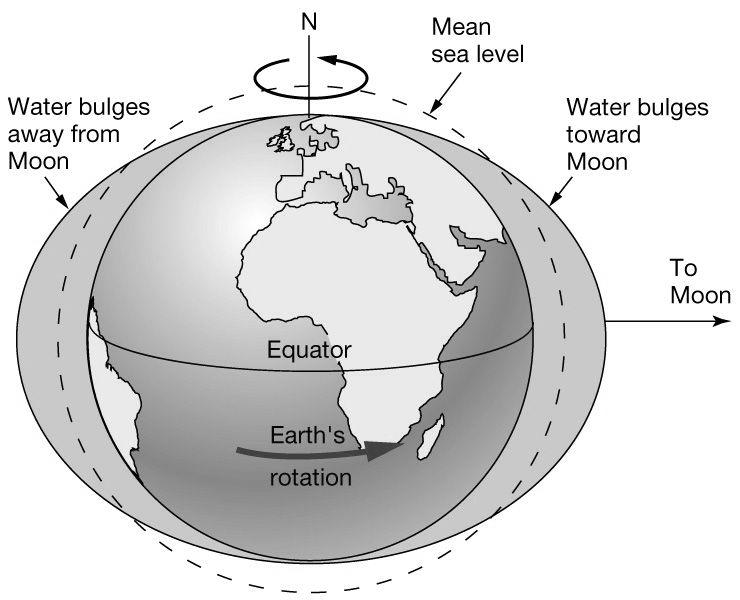 What we just described are called Lunar Tides: Earth rotates through bulges in oceans created by gravity and inertia of
