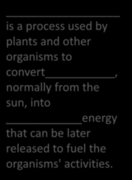 sun, into energy Chemical that can be later released
