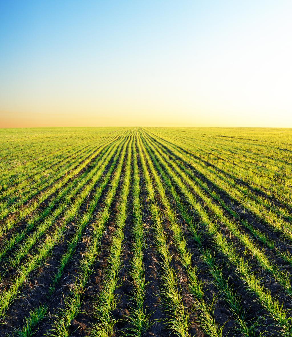 A look around the world The Black Sea region specifically Ukraine and Russia have favorable soil moisture and winter grain crops that are in good condition.