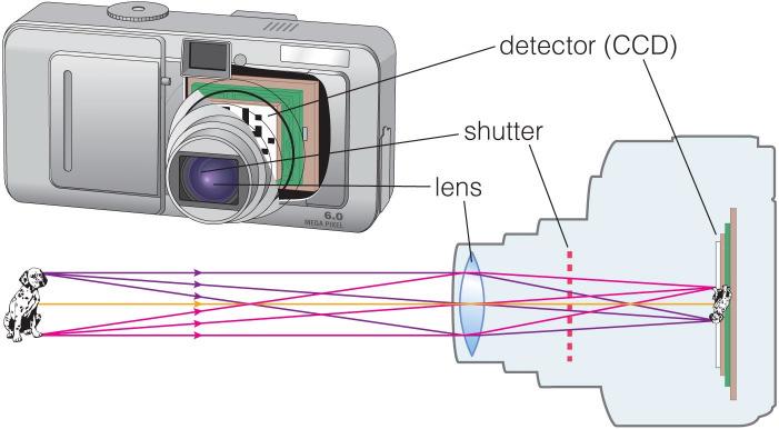 Image Formation The focal plane is where light from different directions comes into focus The image behind a single (convex) lens is actually upside-down! How do we record images?