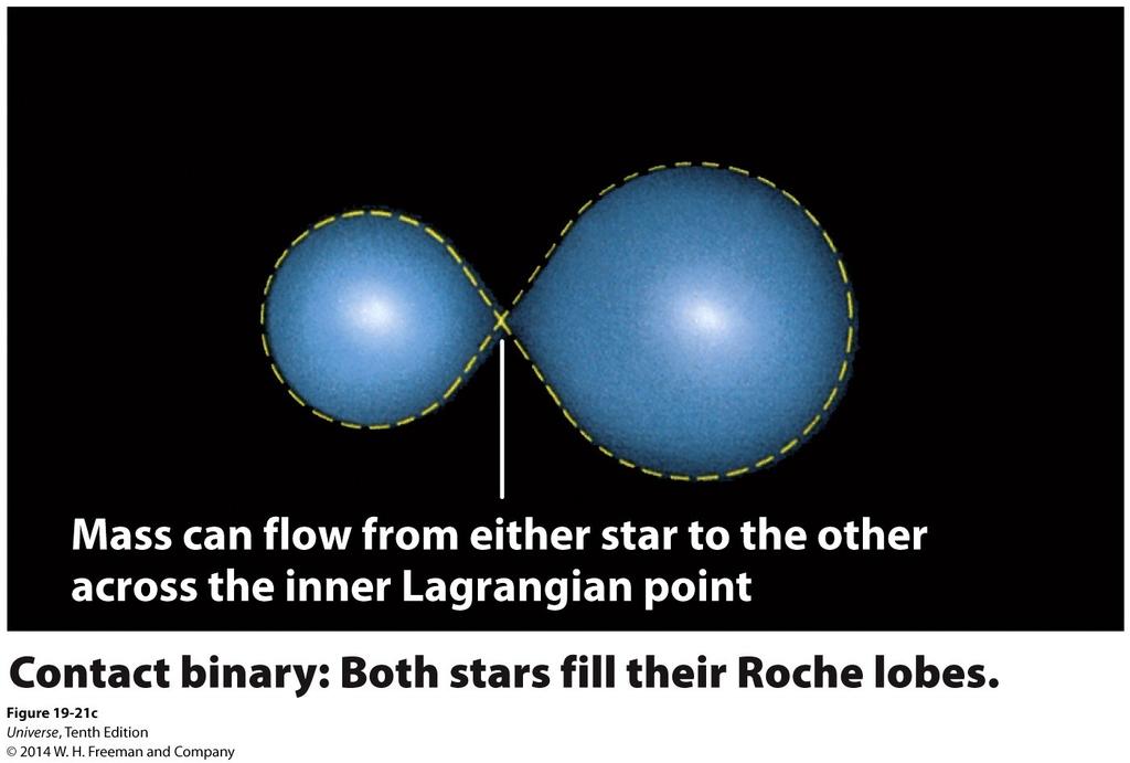 Mass transfer in Binary Systems In a contact binary system, both stars fill