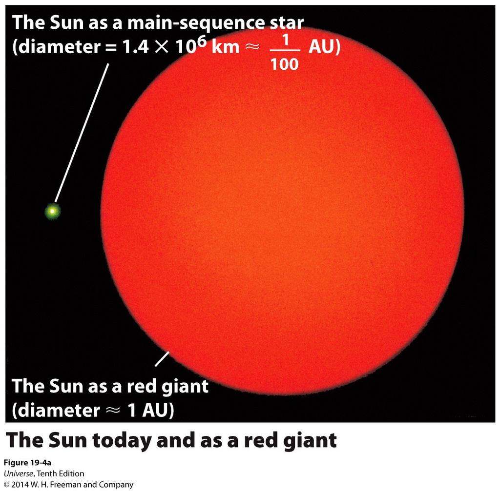 Red Giants A star <0.4 Mⵙ will eventually (100s of billions of years) will use all of its hydrogen and become a ball of helium. A star >0.4 Mⵙ like the Sun will become a red giant.