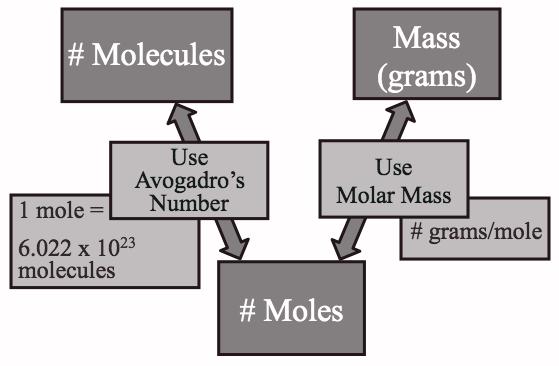 Mass-Mole-Molecules Conversions Note that, as in the case of atoms, the molar mass of a compound is the