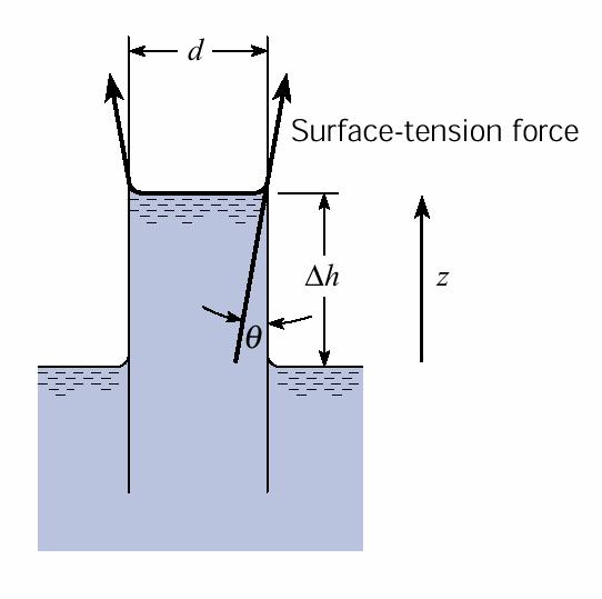 Surface Tension 1. Liquid surface acts like stretched membrane 2. It sags because of higher attraction for glass & Water than air 3.