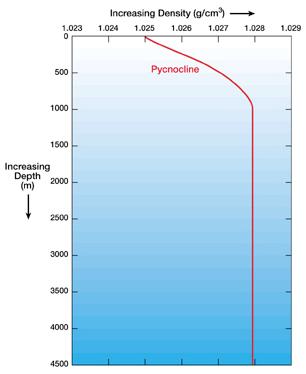 The Ocean as a stratified body of water Density = f (salt content, T, pressure) Γ 35,25,1 = 1.
