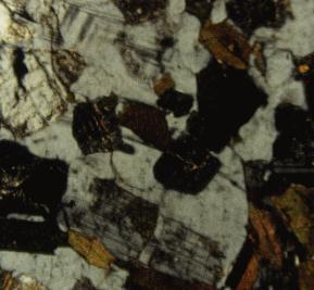 4 biotite and plagioclase percentages are less, (2) hornblende disappears, and (3) percentages of quartz (31-40 vol. %) and K-feldspar (5-33 vol. %) increase relative to that in the tonalite.