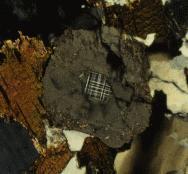5 In contrast, in the granodiorite and in the transition to the granodiorite some K-feldspar crystals are interstitial and interpreted to be formed originally in the biotite tonalite, but other