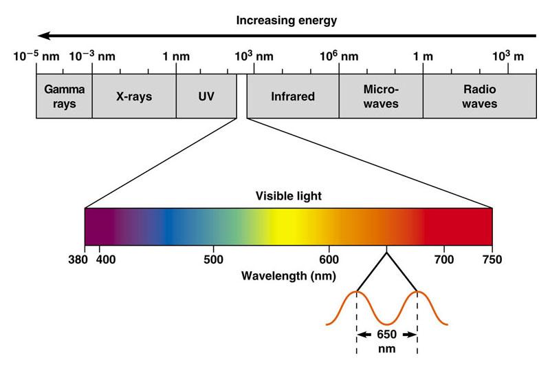 Electromagnetic spectrum: entire range of