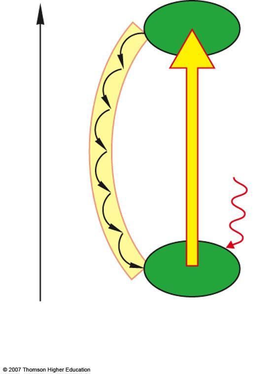 energy e Cyclic Electrton Flow