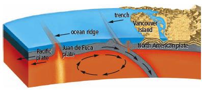 Ocean Basins The largest changes to the ocean basin occur through the movement of tectonic plates, although there is also erosion via storms, earthquakes and icebergs.