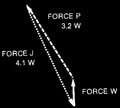 Patello-femoral force B Force