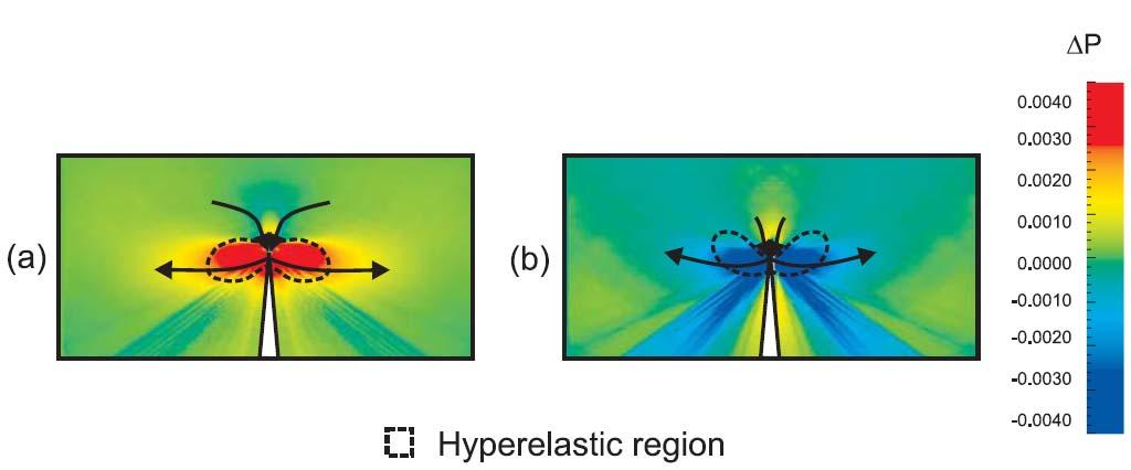 Physical basis for subsonic/supersonic fracture Changes in energy flow at the crack tip due to changes in local wave speed (energy flux higher in materials with higher wave speed) Controlled by a