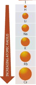 Going down a group or family, the atomic size increases. Why? This is because: e - are being added to E.L. further away from the p+ in the nucleus.