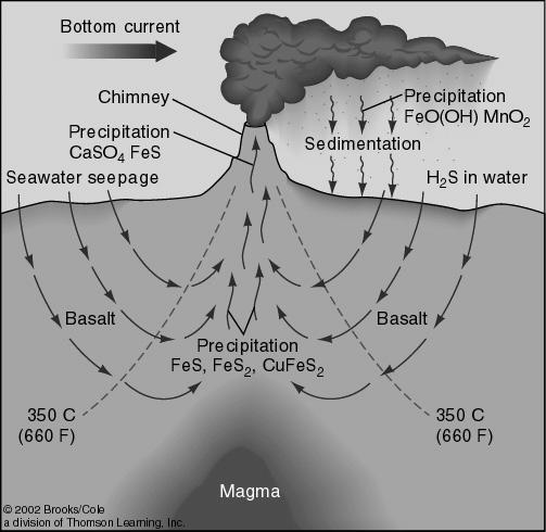 Hydrothermal Vent and Cold Seep Communities Many chemosynthetic